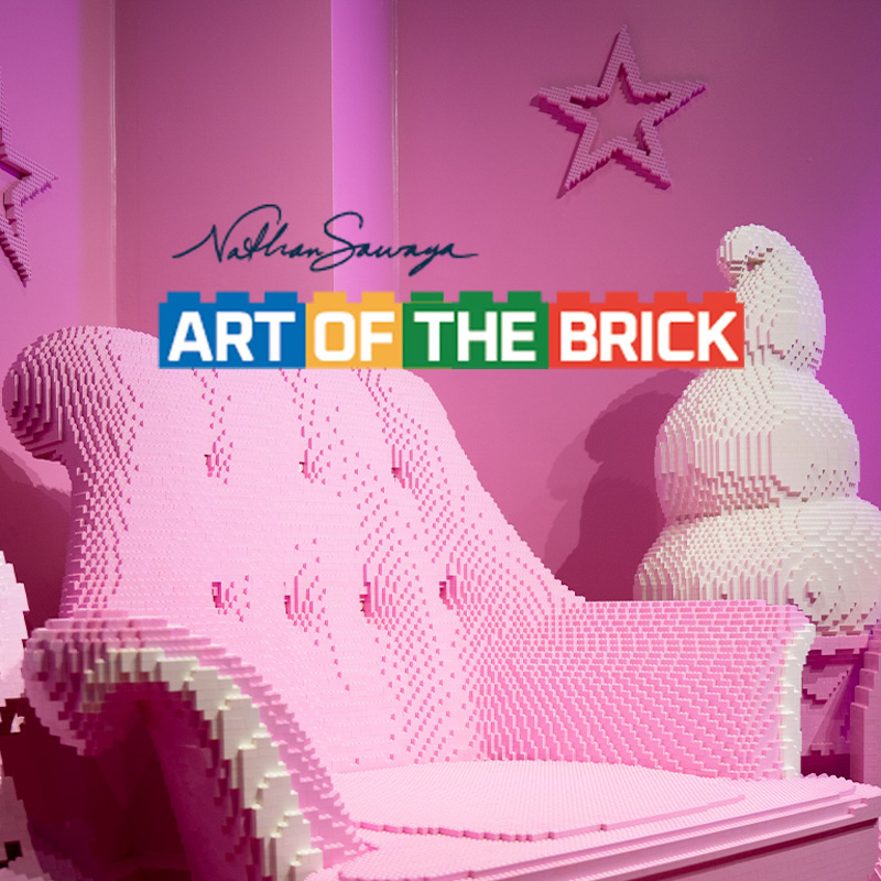 Art of the Brick